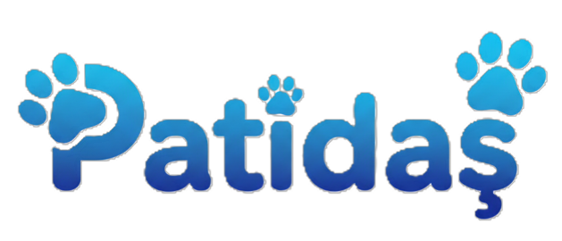 Patidaş Sosyal Medya Uygulaması Logo